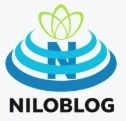 دلایل عدم مدفقیت یک استارتاپ